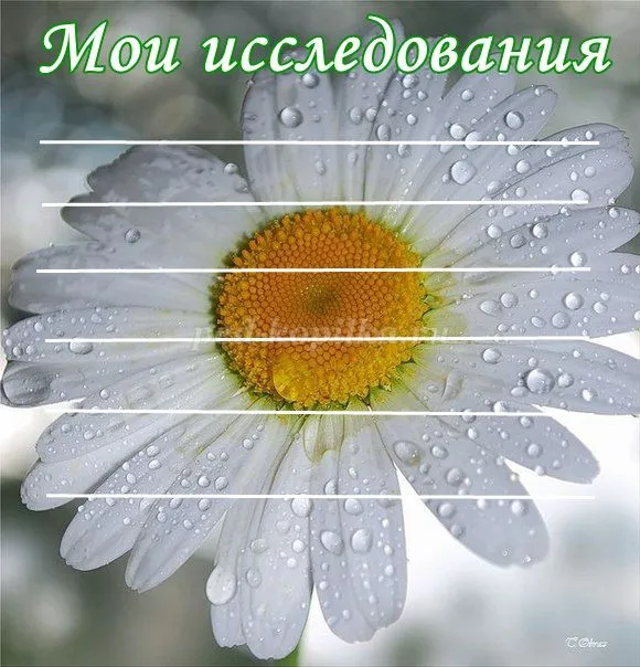 Портфоліо учня середньої школи (для дівчаток) (для хлопчиків) (дівчаток) Портфоліо учня середньої школи (для дівчаток) (для хлопчиків)