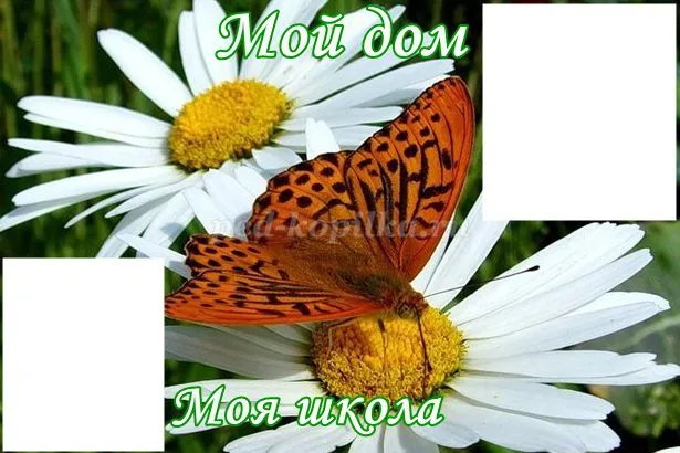 Портфоліо учня середньої школи (для дівчаток) (для хлопчиків) (дівчаток) Портфоліо учня середньої школи (для дівчаток) (для хлопчиків)