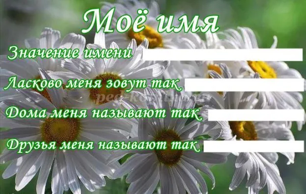 Портфоліо учня середньої школи (для дівчаток) (для хлопчиків) (портфоліо) Портфоліо учня середньої школи (для дівчаток) (для хлопчиків)