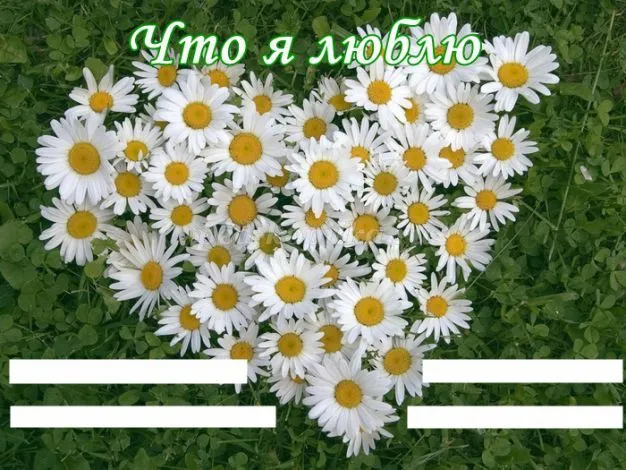Портфоліо учня середньої школи (для дівчаток) (для хлопчиків) (учня) Портфоліо учня середньої школи (для дівчаток) (для хлопчиків)