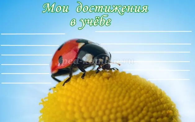 Портфоліо учня середньої школи (для дівчаток) (для хлопчиків) (портфоліо) Портфоліо учня середньої школи (для дівчаток) (для хлопчиків)