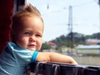 Правила перевезення пасажирів і багажу легковим таксі - в 2017 році, порушення (пасажирів) Правила перевезення пасажирів і багажу легковим таксі - в 2017 році, порушення