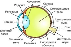 Прилад для поліпшення зору