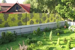 Правила установки парканів між сусідами (паркан між сусідами) Правила установки парканів між сусідами