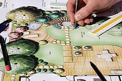 Правильна посадка латаття, садимо сад (лілії) Правильна посадка латаття, садимо сад