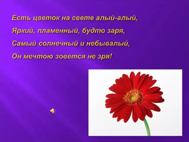 презентація мрія