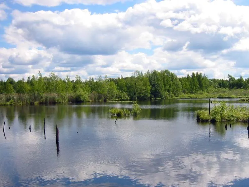 Заплавні озера, вододільні озера, карстові озера (вододільні озера) Заплавні озера, вододільні озера, карстові озера