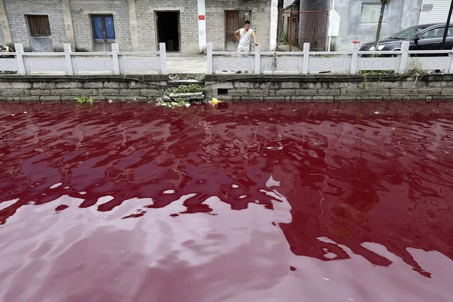 Повсякденне життя Китаю xxi століття (Фото Reuters Stringer) Повсякденне життя Китаю xxi століття