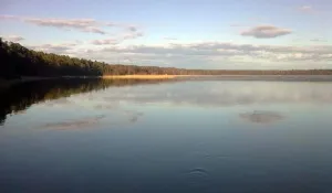 Путівник по ленінградської області (ленінградської) Путівник по ленінградської області