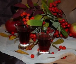 Приготування настоянок в домашніх умовах (водою фортеці 40-45º) Приготування настоянок в домашніх умовах