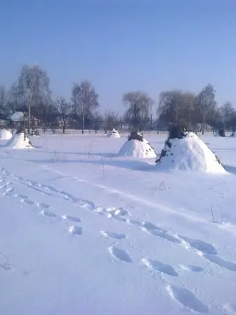 Про сільське життя реальність-свій будиночок в селі (життя) Про сільське життя реальність-свій будиночок в селі