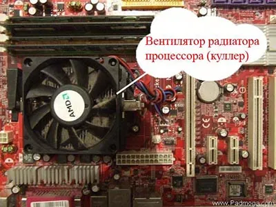 Профілактика комп'ютера або чому сильно гуде комп'ютер
