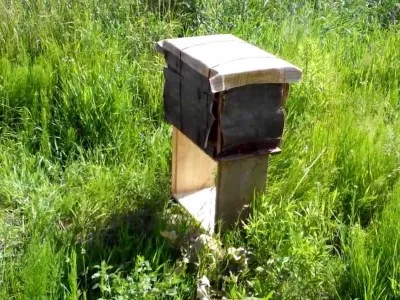 Прищепа для бджіл своїми руками фото (щепа) Прищепа для бджіл своїми руками фото