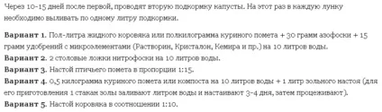 Чим підгодувати капусту після висадки в грунт (грунт) Чим підгодувати капусту після висадки в грунт