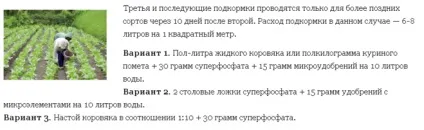 Чим підгодувати капусту після висадки в грунт (грунт) Чим підгодувати капусту після висадки в грунт