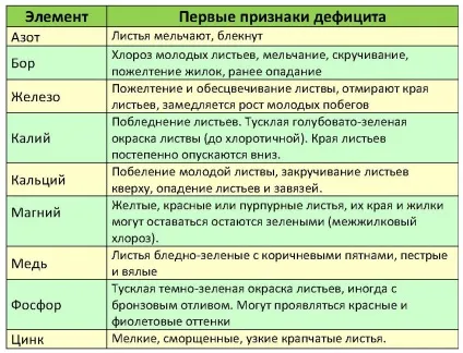 Чим підгодувати абрикос восени поради садівникам (поради) Чим підгодувати абрикос восени поради садівникам