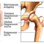 Найбільші битви в історії - 5