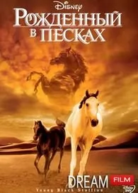 Народжений в пісках (2003) дивитися онлайн безкоштовно (існують) Народжений в пісках (2003) дивитися онлайн безкоштовно