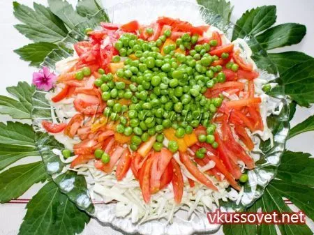 Салат з капусти і помідорів, рецепт з фото покроковий (помідорів) Салат з капусти і помідорів, рецепт з фото покроковий