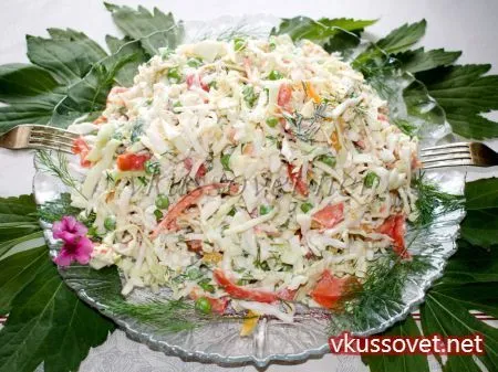 Салат з капусти і помідорів, рецепт з фото покроковий (з капусти) Салат з капусти і помідорів, рецепт з фото покроковий