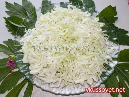 Салат з капусти і помідорів, рецепт з фото покроковий (помідорів) Салат з капусти і помідорів, рецепт з фото покроковий