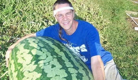 Найбільший кавун в світі, продукти харчування! (Кавун) Найбільший кавун в світі, продукти харчування!