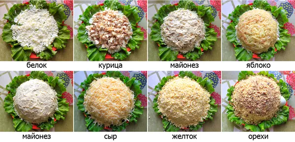 Салат черепаха з копченою куркою рецепт (черепаха) Салат черепаха з копченою куркою рецепт