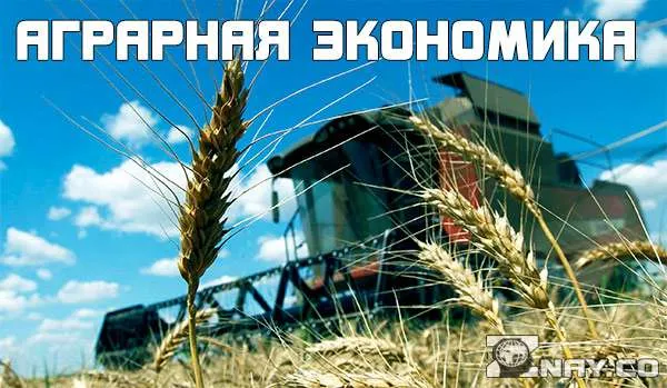 Наймасштабніші битви в історії, коли і де вони проходили наслідки, руйнування (самі) Наймасштабніші битви в історії, коли і де вони проходили наслідки, руйнування