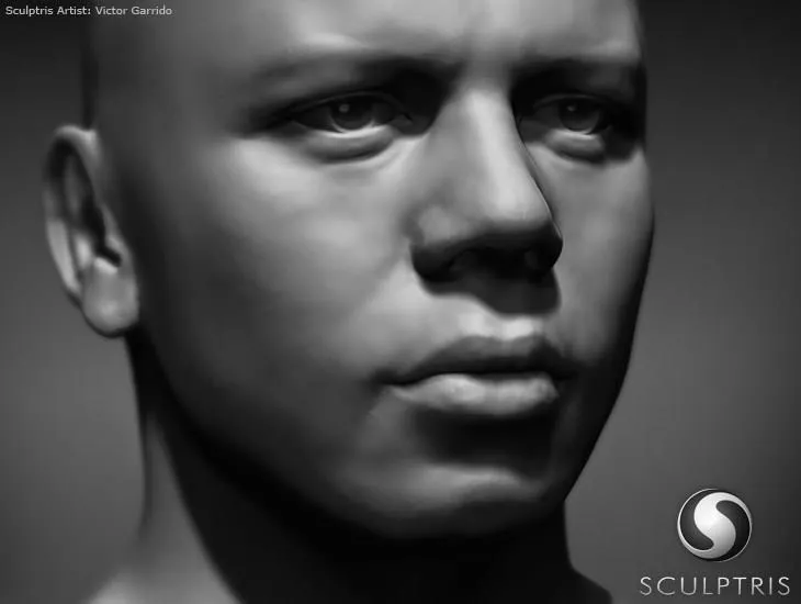 Sculptris alpha 6 скачати безкоштовно скульптріс (sculptris) Sculptris alpha 6 скачати безкоштовно скульптріс