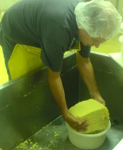 Сир грюйер (gruyere) і гармонія природи (гармонія) Сир грюйер (gruyere) і гармонія природи