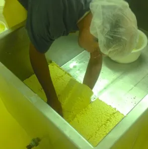 Сир грюйер (gruyere) і гармонія природи (гармонія) Сир грюйер (gruyere) і гармонія природи