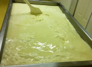 Сир грюйер (gruyere) і гармонія природи (грюйер) Сир грюйер (gruyere) і гармонія природи
