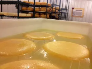 Сир грюйер (gruyere) і гармонія природи (хвилин ПІСЛЯ того) Сир грюйер (gruyere) і гармонія природи