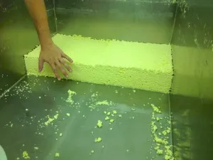 Сир грюйер (gruyere) і гармонія природи (гармонія) Сир грюйер (gruyere) і гармонія природи
