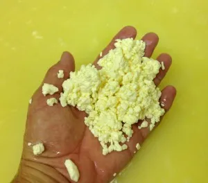 Сир грюйер (gruyere) і гармонія природи (gruyere) Сир грюйер (gruyere) і гармонія природи