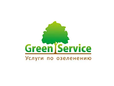 Системи апс і СОУЕ