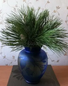 соснові голки