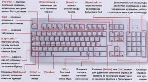 Поради, поради по секрету (секрету) Поради, поради по секрету