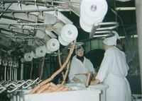 Спеціальність 260203 технологія м'яса і м'ясних продуктів (260203) Спеціальність 260203 технологія м'яса і м'ясних продуктів