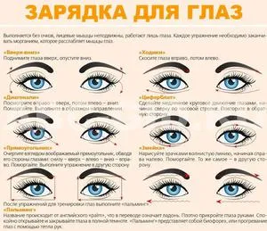Стаття про анатомію м'язів очного яблука, функціях окорухових м'язів і про хвороби ока (очного) Стаття про анатомію м'язів очного яблука, функціях окорухових м'язів і про хвороби ока