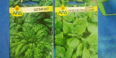 Чи варто зрізати зелень або краще висмикувати з коренем і підсівати нову відповіді експертів (підсівати) Чи варто зрізати зелень або краще висмикувати з коренем і підсівати нову відповіді експертів