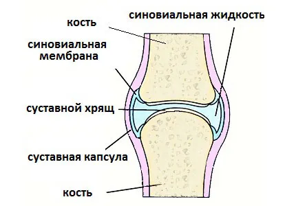 Спондилоартроз шийного відділу хребта що це таке (гімнастика при спондилоартроз) Спондилоартроз шийного відділу хребта що це таке