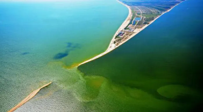 Станиця Должанська, Серфпріют (база відпочинку), курси англійської, фото (станиця) Станиця Должанська, Серфпріют (база відпочинку), курси англійської, фото