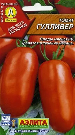 Томат гуллівер, опис, характеристика плода, особливості росту (гуллівер) Томат гуллівер, опис, характеристика плода, особливості росту
