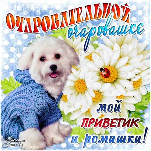 Ти найкраще що в мене в ній було і є сонечко, я люблю тебе слухати в мп3 (мене) Ти найкраще що в мене в ній було і є сонечко, я люблю тебе слухати в мп3