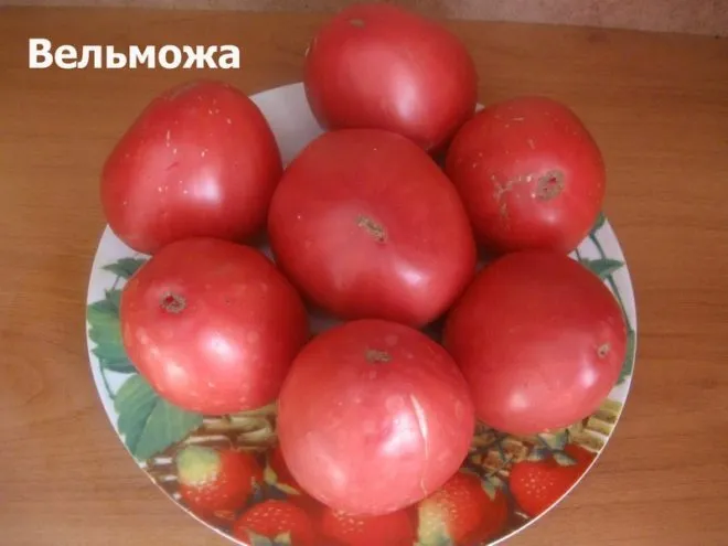 Томат «вельможа» опис і характеристика, фото (томат) Томат «вельможа» опис і характеристика, фото