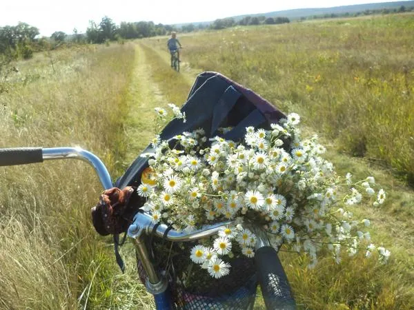 Вдалі дачні розваги