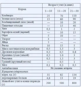 Качки як бізнес в домашніх умовах - вигідно чи ні (бізнес) Качки як бізнес в домашніх умовах - вигідно чи ні