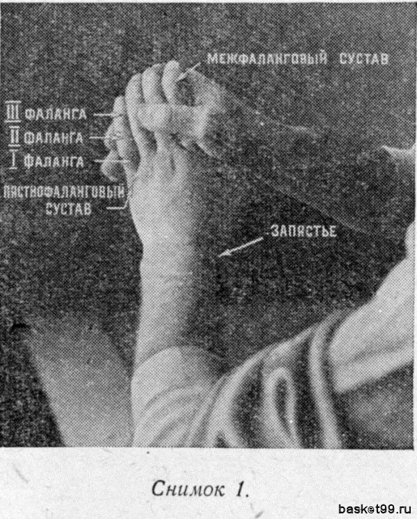 Вправи для розвитку сили і гнучкості кистей (Руки витягнуті вперед) Вправи для розвитку сили і гнучкості кистей