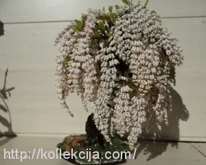 Черемуха з бісеру